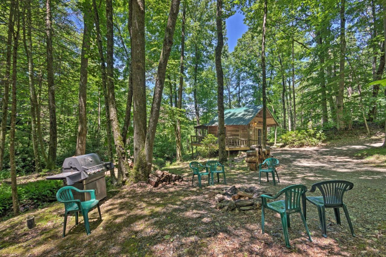 Creekside Cabin With Deck In Pisgah Forest! Barnardsville Exterior photo