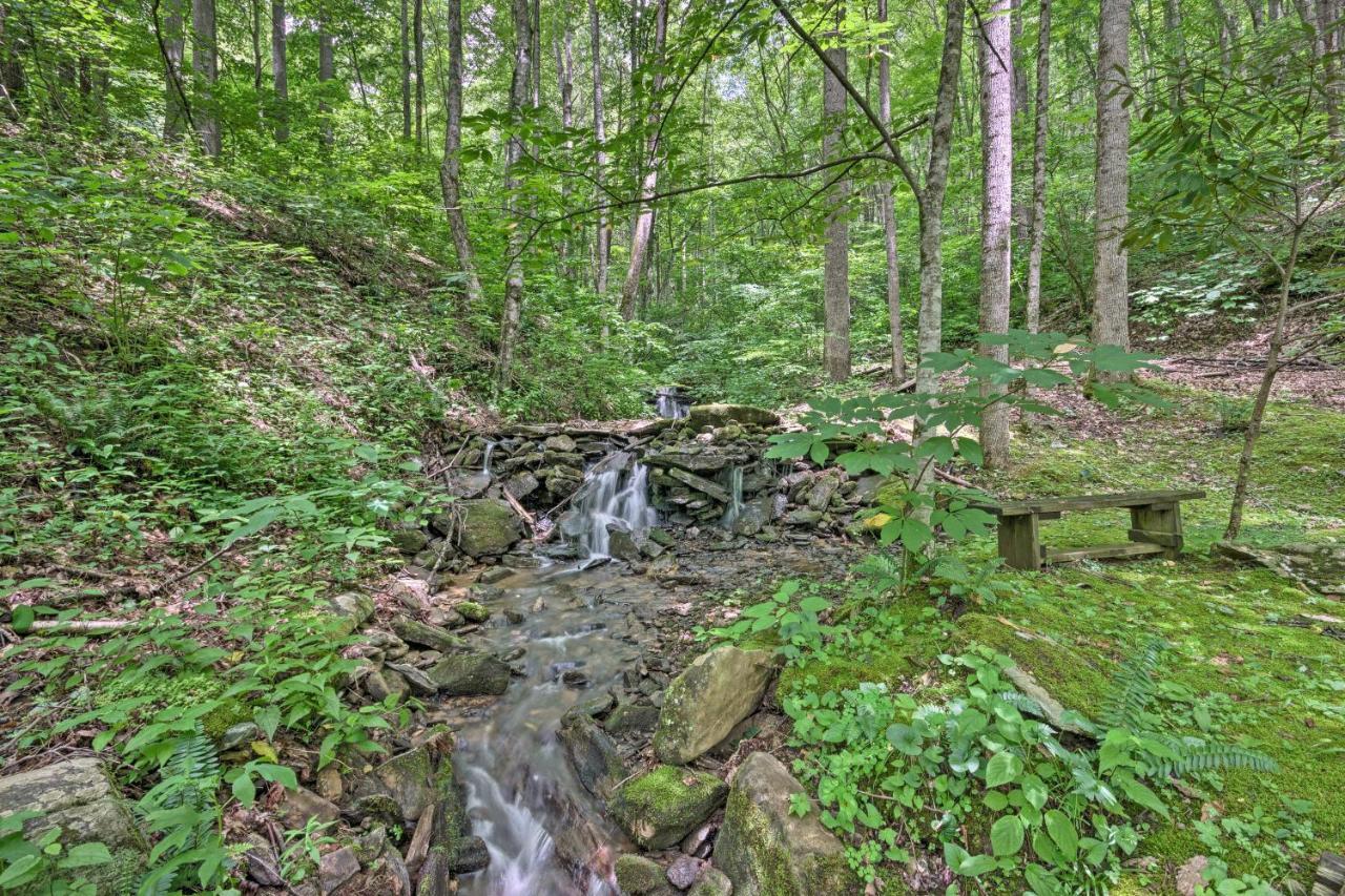 Creekside Cabin With Deck In Pisgah Forest! Barnardsville Exterior photo